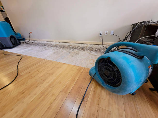 Professional Sewage Cleanup technician working in Flower Mound, TX